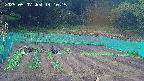 kannonmori-20250507141017.jpg