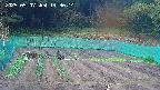 kannonmori-20250507143016.jpg