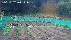 kannonmori-20250507144017.jpg