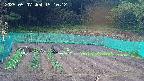 kannonmori-20250507151014.jpg
