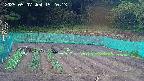 kannonmori-20250507152015.jpg