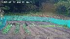 kannonmori-20250507153016.jpg