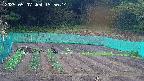 kannonmori-20250507155016.jpg