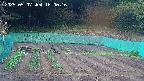 kannonmori-20250507160018.jpg
