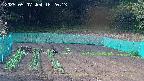 kannonmori-20250507162015.jpg