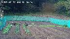 kannonmori-20250507164018.jpg