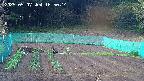 kannonmori-20250507165016.jpg