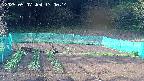 kannonmori-20250507170016.jpg