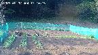 kannonmori-20250507171017.jpg