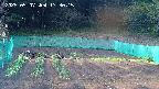 kannonmori-20250507173017.jpg