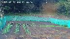 kannonmori-20250507175018.jpg