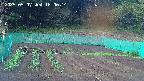 kannonmori-20250507180016.jpg