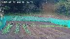 kannonmori-20250507182015.jpg