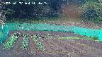 kannonmori-20250507183017.jpg