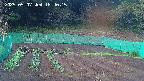 kannonmori-20250507184017.jpg