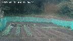 kannonmori-20250507190016.jpg