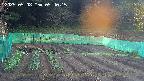 kannonmori-20250508054017.jpg