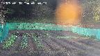kannonmori-20250508055014.jpg