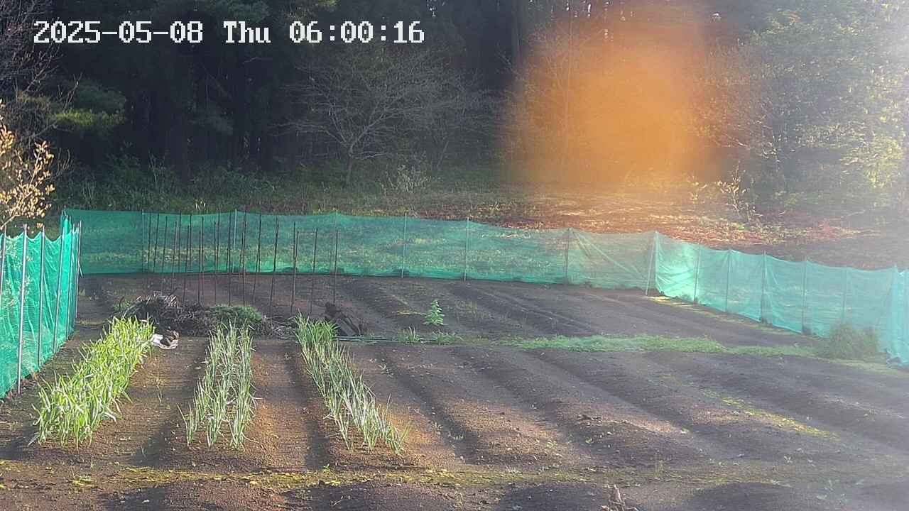 kannonmori-20250508060018.jpg
