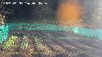 kannonmori-20250508060018.jpg