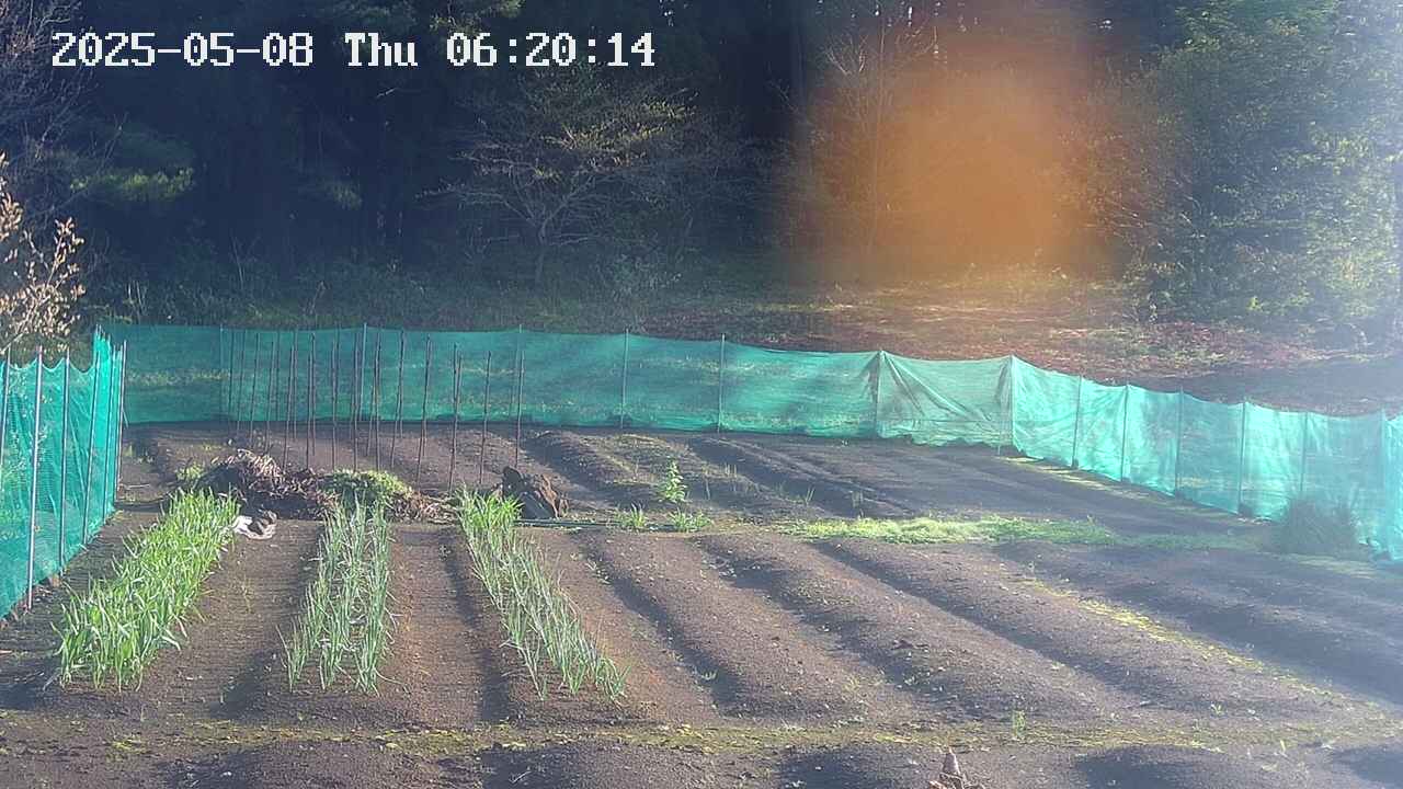 kannonmori-20250508062016.jpg