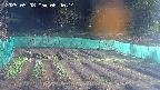kannonmori-20250508064016.jpg