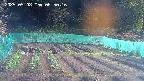 kannonmori-20250508065018.jpg