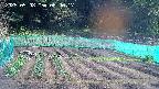 kannonmori-20250508080018.jpg