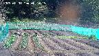 kannonmori-20250508081016.jpg
