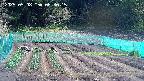 kannonmori-20250508083016.jpg