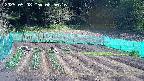 kannonmori-20250508085017.jpg