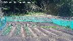 kannonmori-20250508095017.jpg