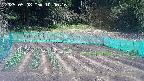 kannonmori-20250508100017.jpg