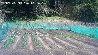 kannonmori-20250508101016.jpg