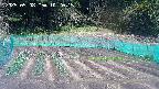 kannonmori-20250508102016.jpg