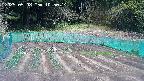 kannonmori-20250508105016.jpg