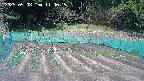 kannonmori-20250508110018.jpg