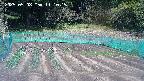 kannonmori-20250508111017.jpg