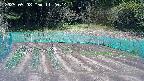 kannonmori-20250508112016.jpg
