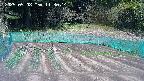 kannonmori-20250508113016.jpg