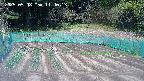 kannonmori-20250508114016.jpg