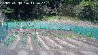 kannonmori-20250508115016.jpg