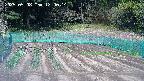 kannonmori-20250508120016.jpg