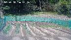 kannonmori-20250508122016.jpg