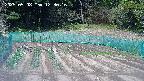 kannonmori-20250508123018.jpg