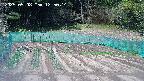 kannonmori-20250508125016.jpg