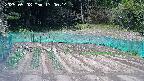 kannonmori-20250508130016.jpg