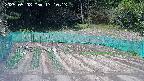 kannonmori-20250508131016.jpg