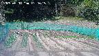 kannonmori-20250508132017.jpg