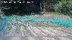 kannonmori-20250508133015.jpg